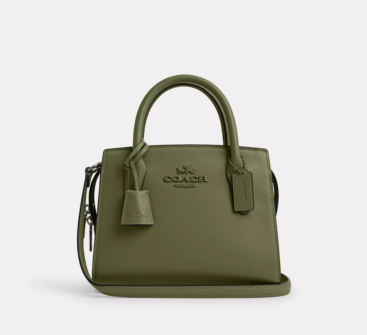 Carry Chic R Andrea Carryall Bag – CarryChic